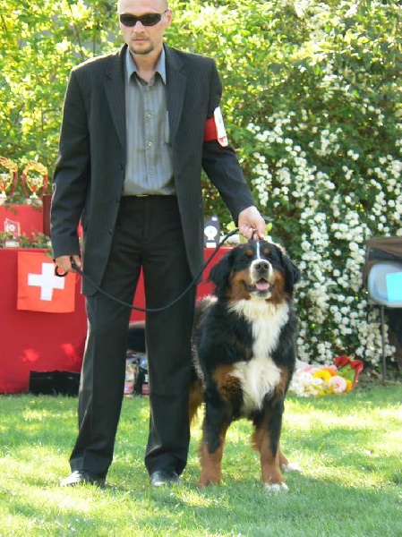 CH. Emy for ever De la chalerie - 6eme Exc.