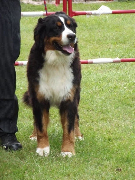 Isa bella De la chalerie - 3eme TB