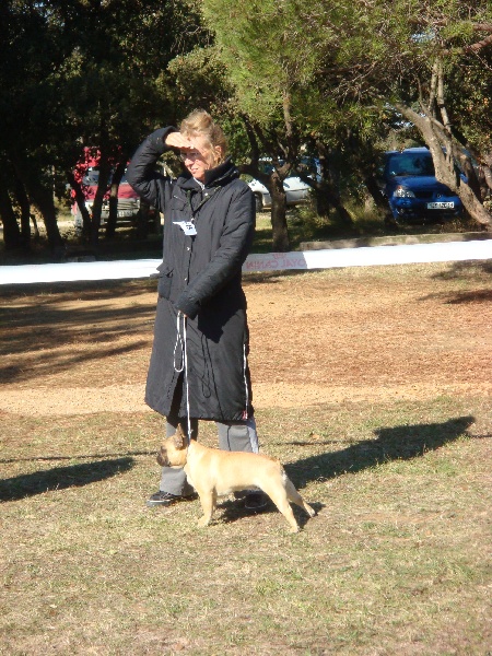 Bailey du Mont D'Azur