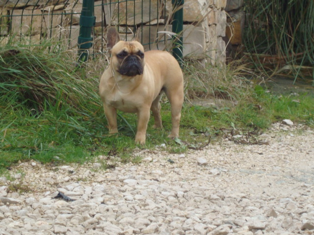 Bailey du Mont D'Azur