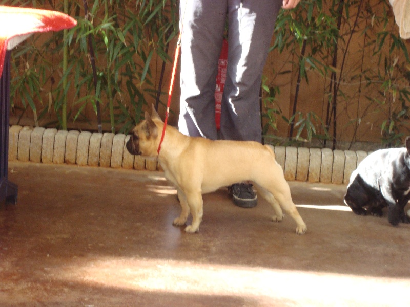 Bailey du Mont D'Azur