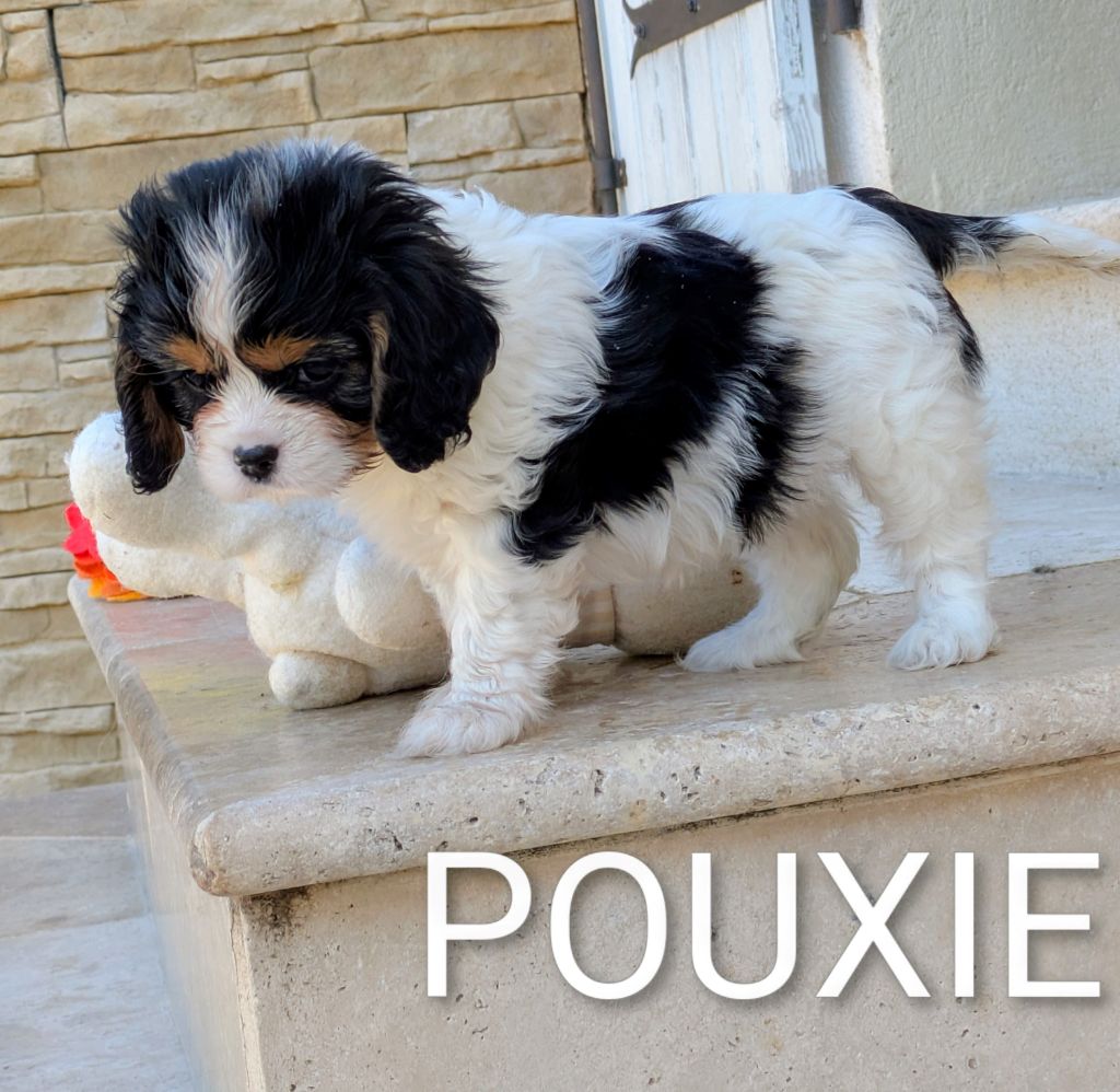 A'POUXIE