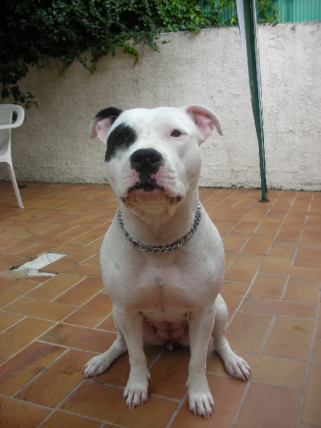 Publication : Woody's Original