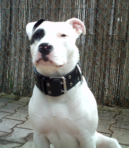 Publication : Woody's Original