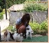 - le départ des bébés de Jezabelle