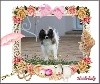 - Heidi-lady