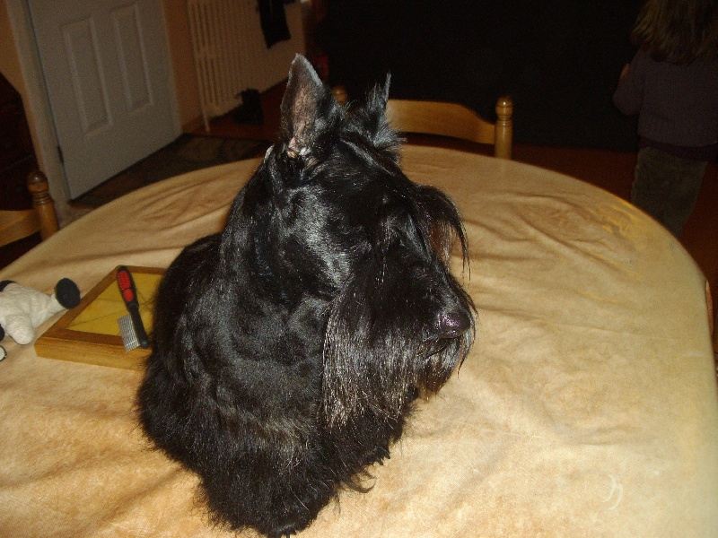 Publication : Endless Love