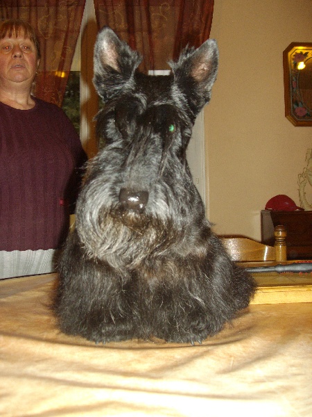 Publication : Endless Love