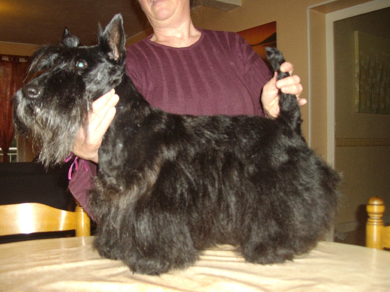 Publication : Endless Love