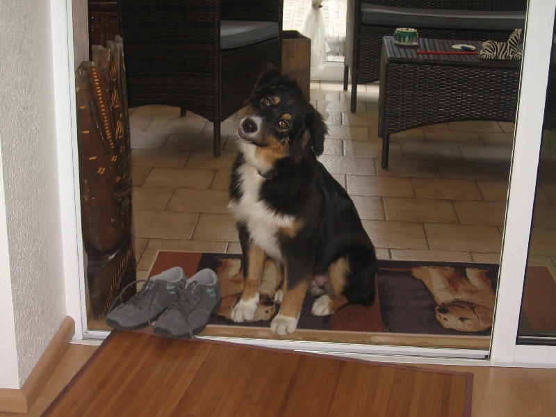 Eléis de l'Eden de Basthêt