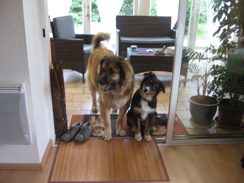 Eléis de l'Eden de Basthêt