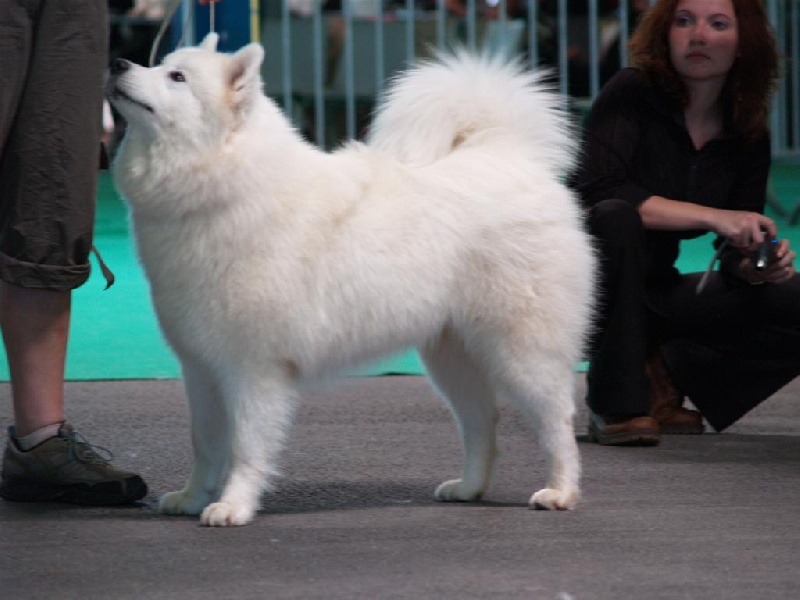 Aegirsson Biija - 1ère excellente classe intermédiaire