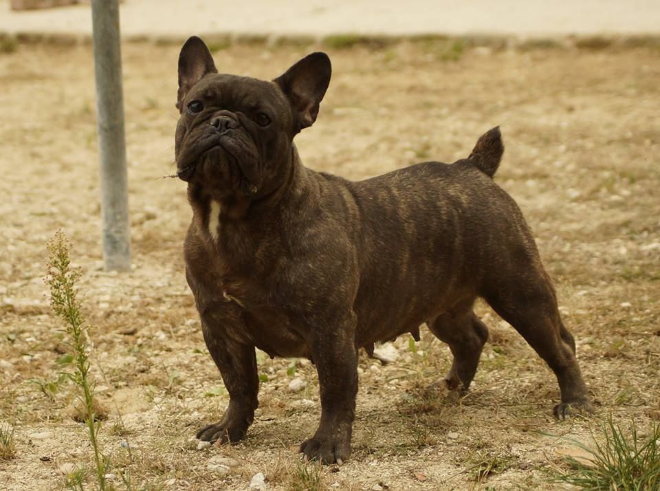 Publication : de l'ancien Presbytère