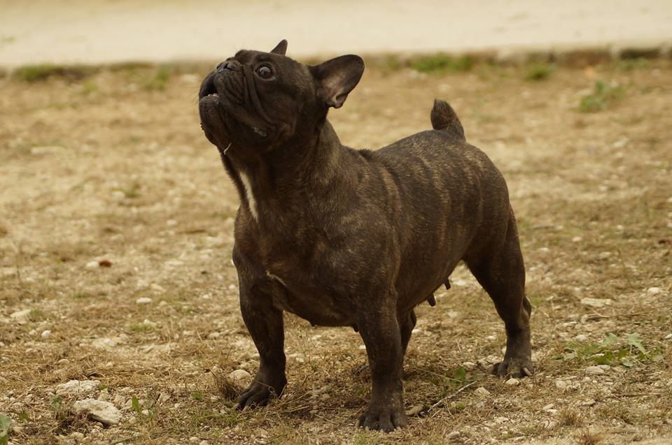 Publication : de l'ancien Presbytère