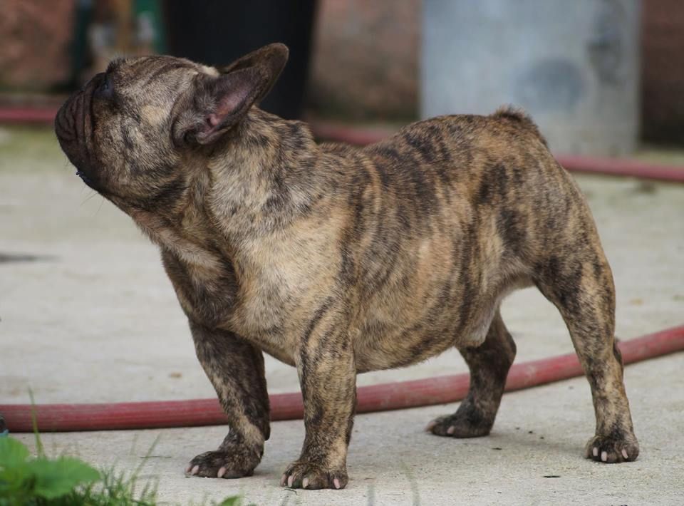 Publication : de l'ancien Presbytère Auteur : Anne MENAGER