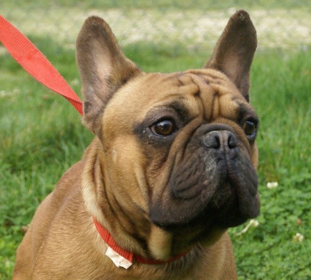 Publication : de l'ancien Presbytère