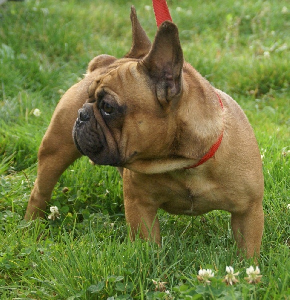 Publication : de l'ancien Presbytère