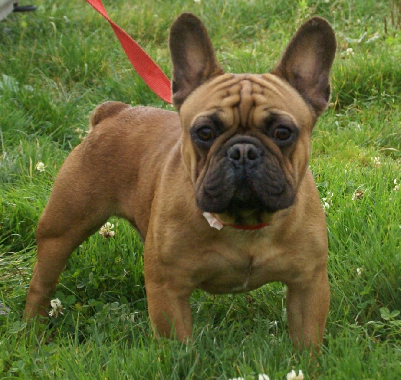 Publication : de l'ancien Presbytère