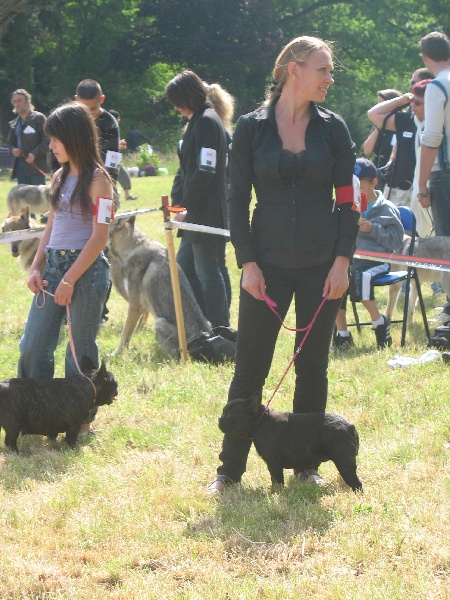 Publication : de belle gueule d'amour