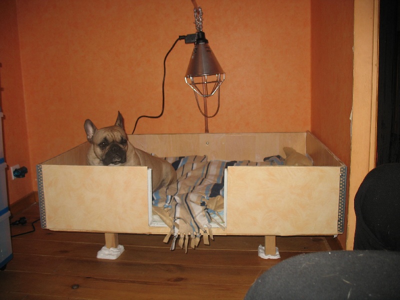 Publication : de belle gueule d'amour