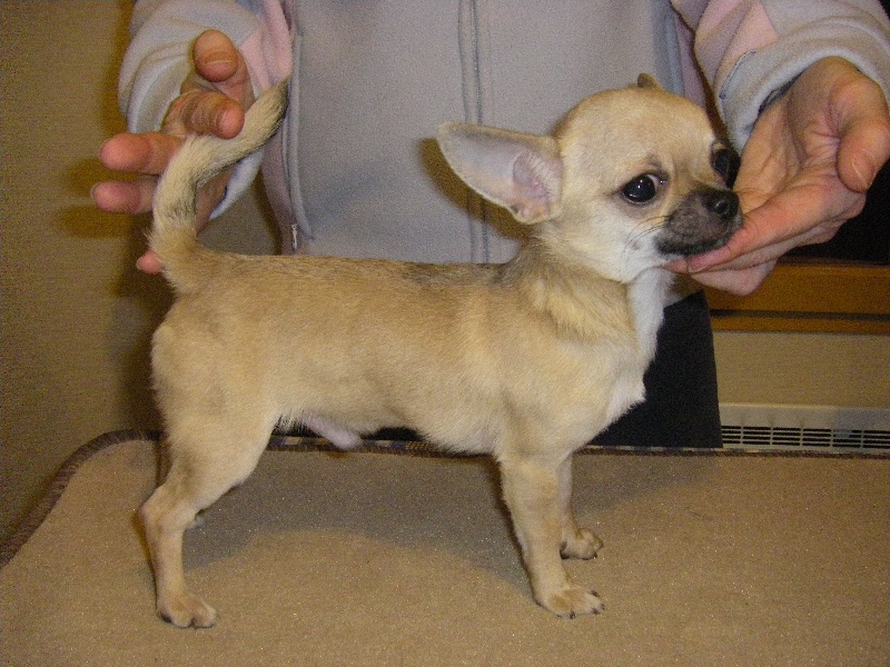 Publication : du Chemin De L'Yerres