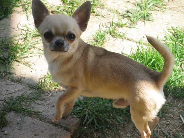 Publication : du Chemin De L'Yerres