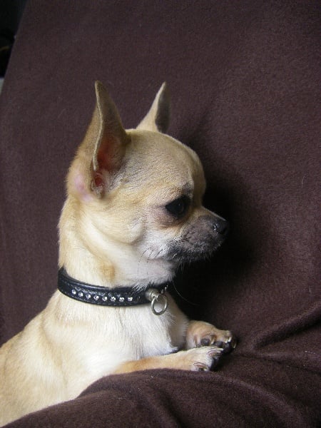 Publication : du Chemin De L'Yerres