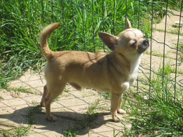 Publication : du Chemin De L'Yerres