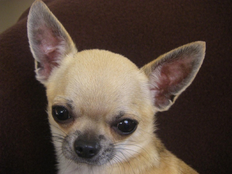 Publication : du Chemin De L'Yerres