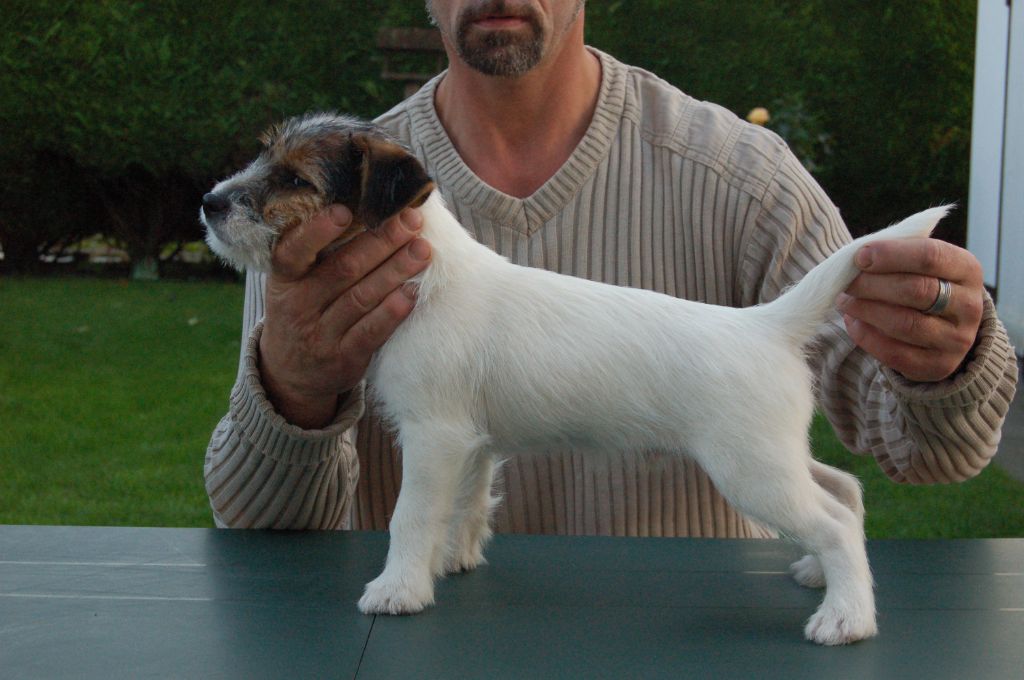 Publication : du Domaine de Rupembert Auteur : G.FRANCOIS