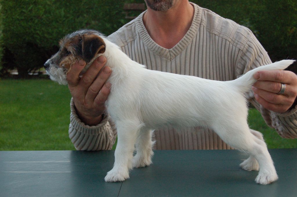 Publication : du Domaine de Rupembert Auteur : G.FRANCOIS