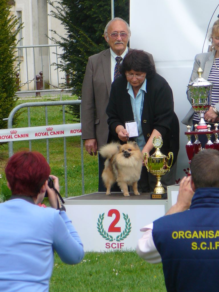 Publication : du royaume des bouts de chou Auteur : LAGAND SYLVIANE