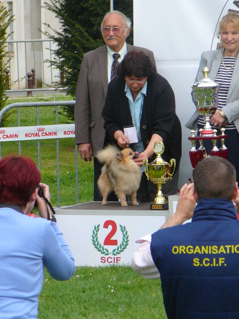 Publication : du royaume des bouts de chou Auteur : LAGAND SYLVIANE