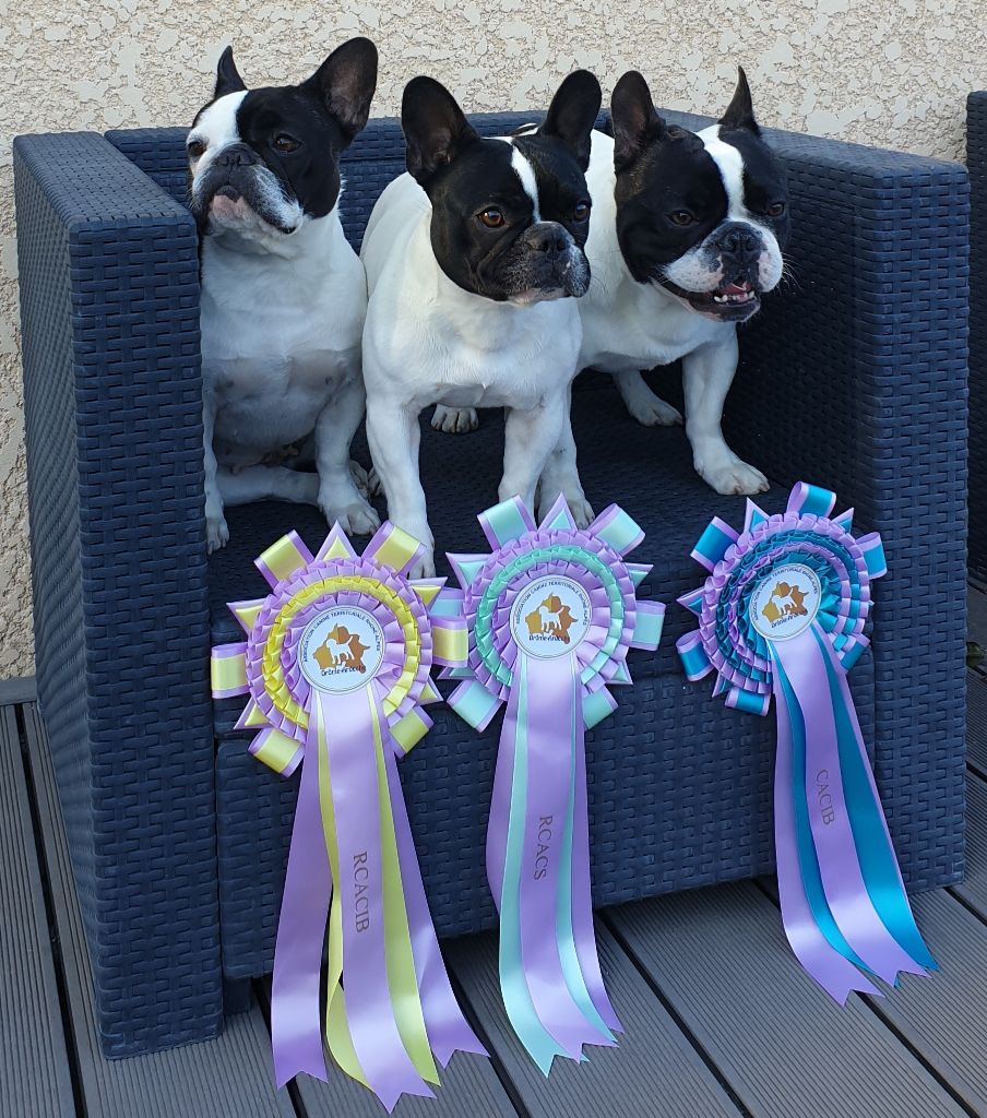 Publication : des jardins d'Antigone Auteur : nosb