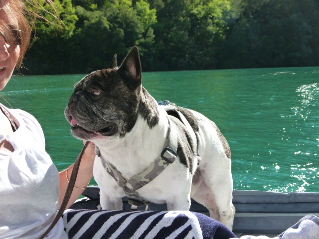 Publication : des jardins d'Antigone Auteur : NOSB