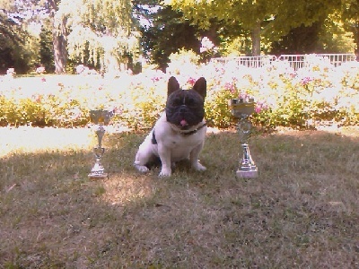 Burberry des jardins d'Antigone - 1er EXCELLENT +CACS+MEILLEUR DE RACE