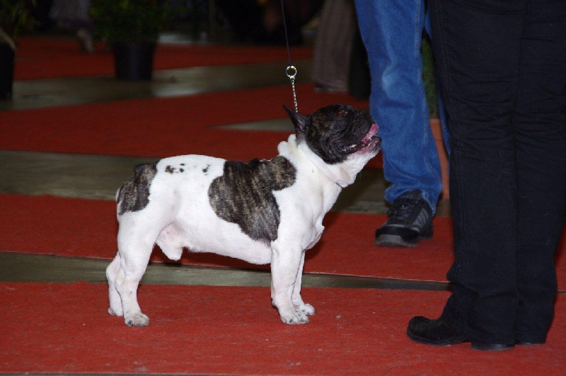 Burberry des jardins d'Antigone - 4EME EXCELLENT