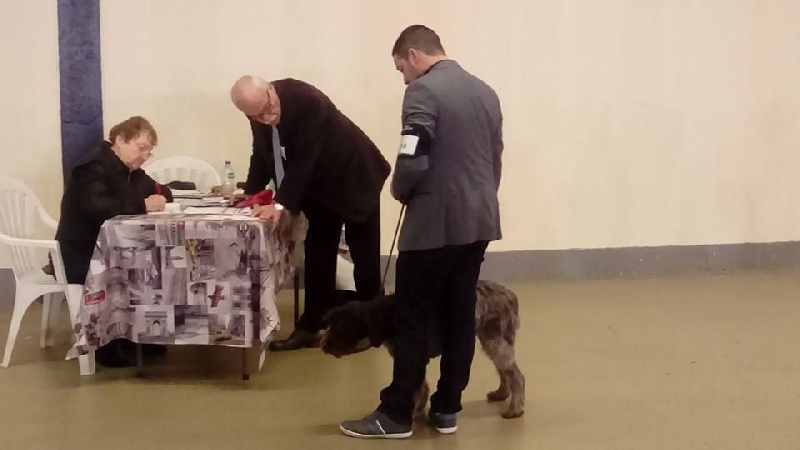 Loukoum de l'Ô jadis Saint Philibert - 1er très prometteur + meilleur baby