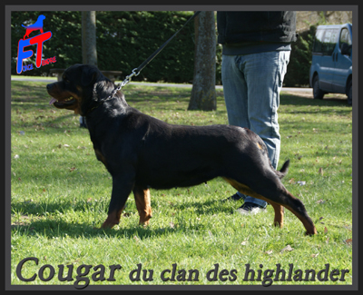 Publication : des Molosses Angéliques