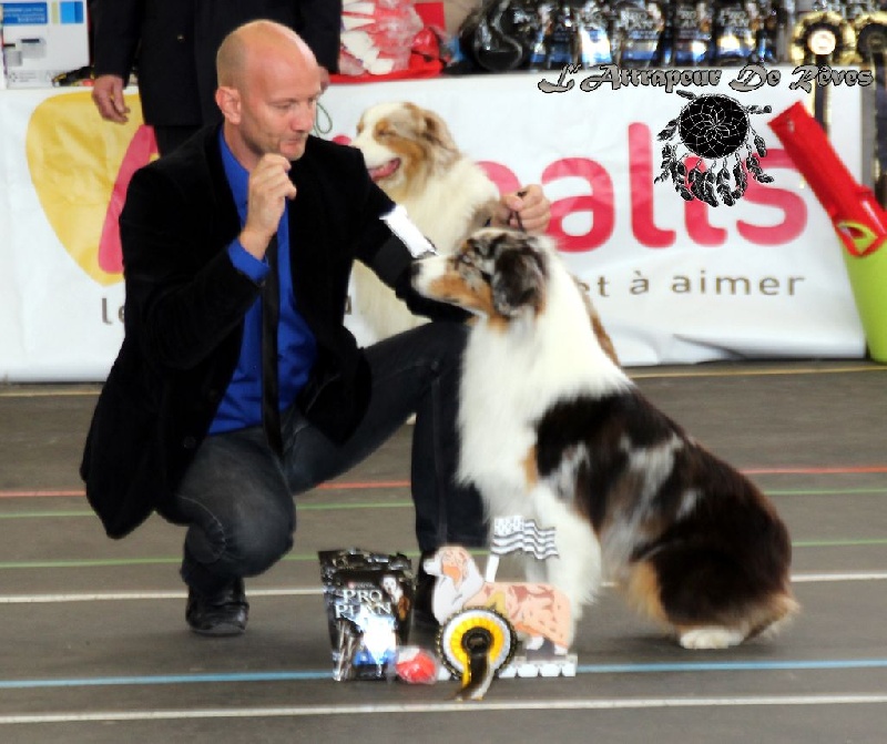 Publication : de l'Attrapeur de rêves