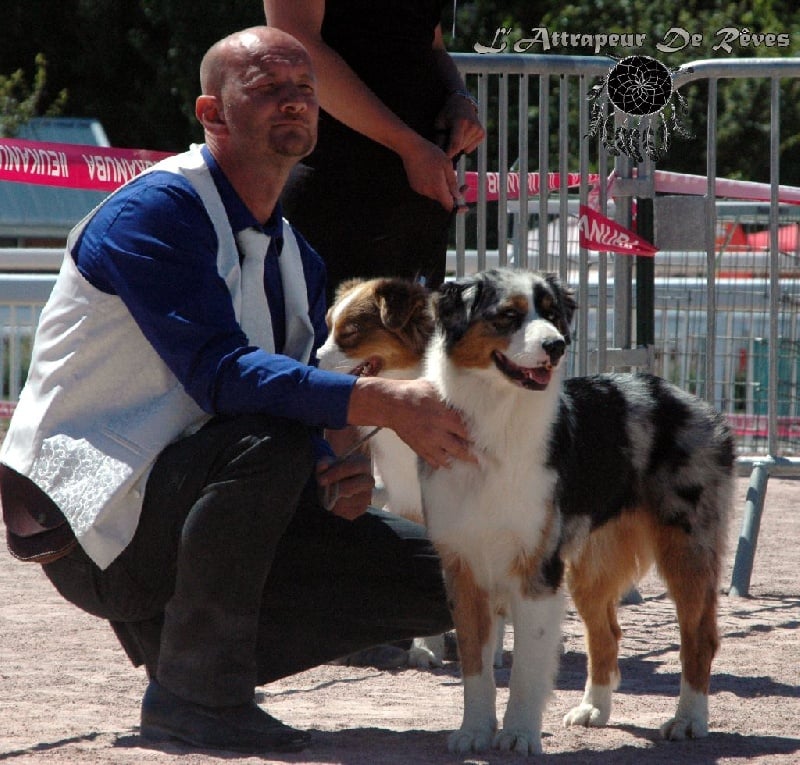 Publication : de l'Attrapeur de rêves
