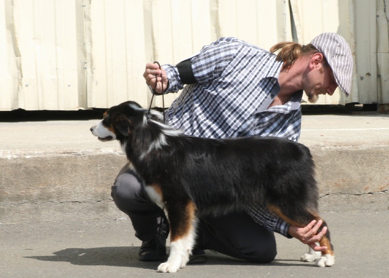 Publication : de l'Attrapeur de rêves