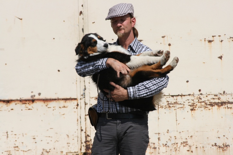 Publication : de l'Attrapeur de rêves