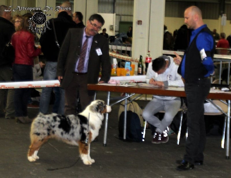 Publication : de l'Attrapeur de rêves