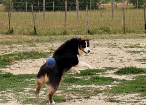 Publication : de l'Attrapeur de rêves