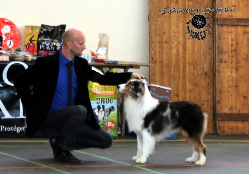 Publication : de l'Attrapeur de rêves