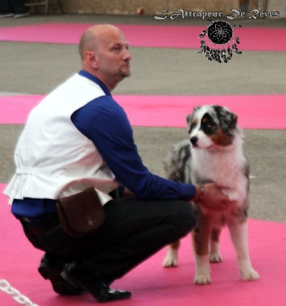 Publication : de l'Attrapeur de rêves