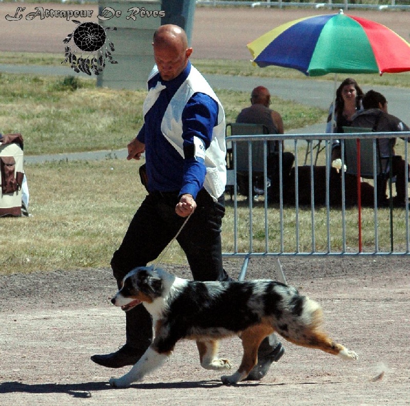 Publication : de l'Attrapeur de rêves