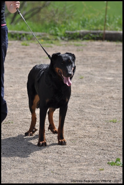 Houfti du regard mordant - Exc - Classe Ouverte