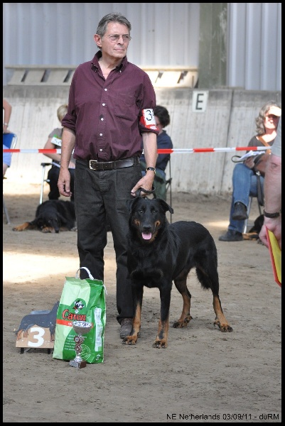 Houfti du regard mordant - Ouverte Femelle - 3eme Exc